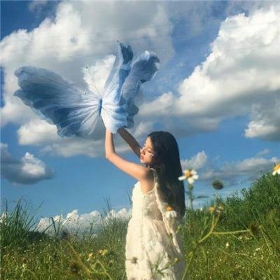 聪明的小母鸡