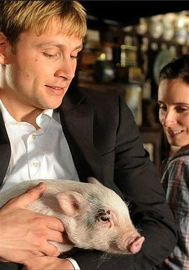 白莲花度假村第三季 封面图